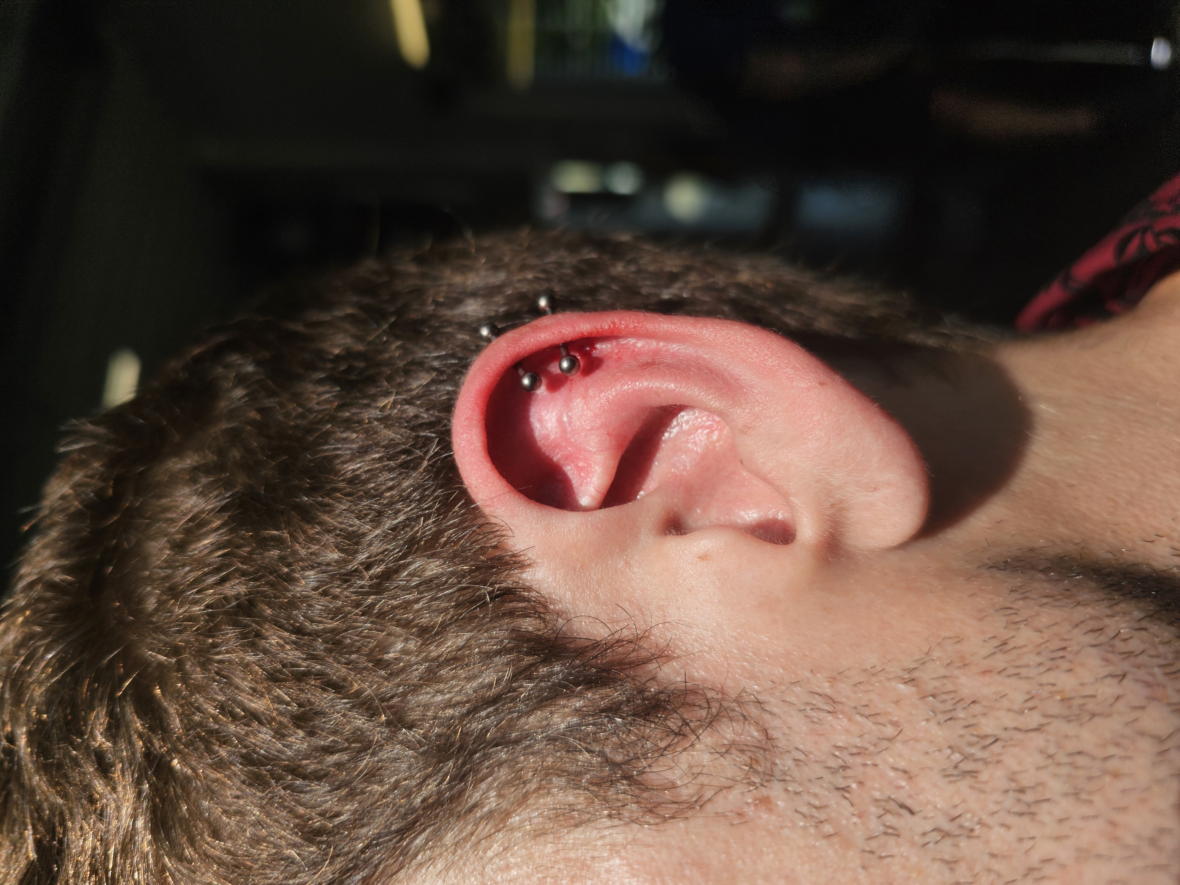 Piercing professionnel réalisé par Boar Pierced à La Verrerie