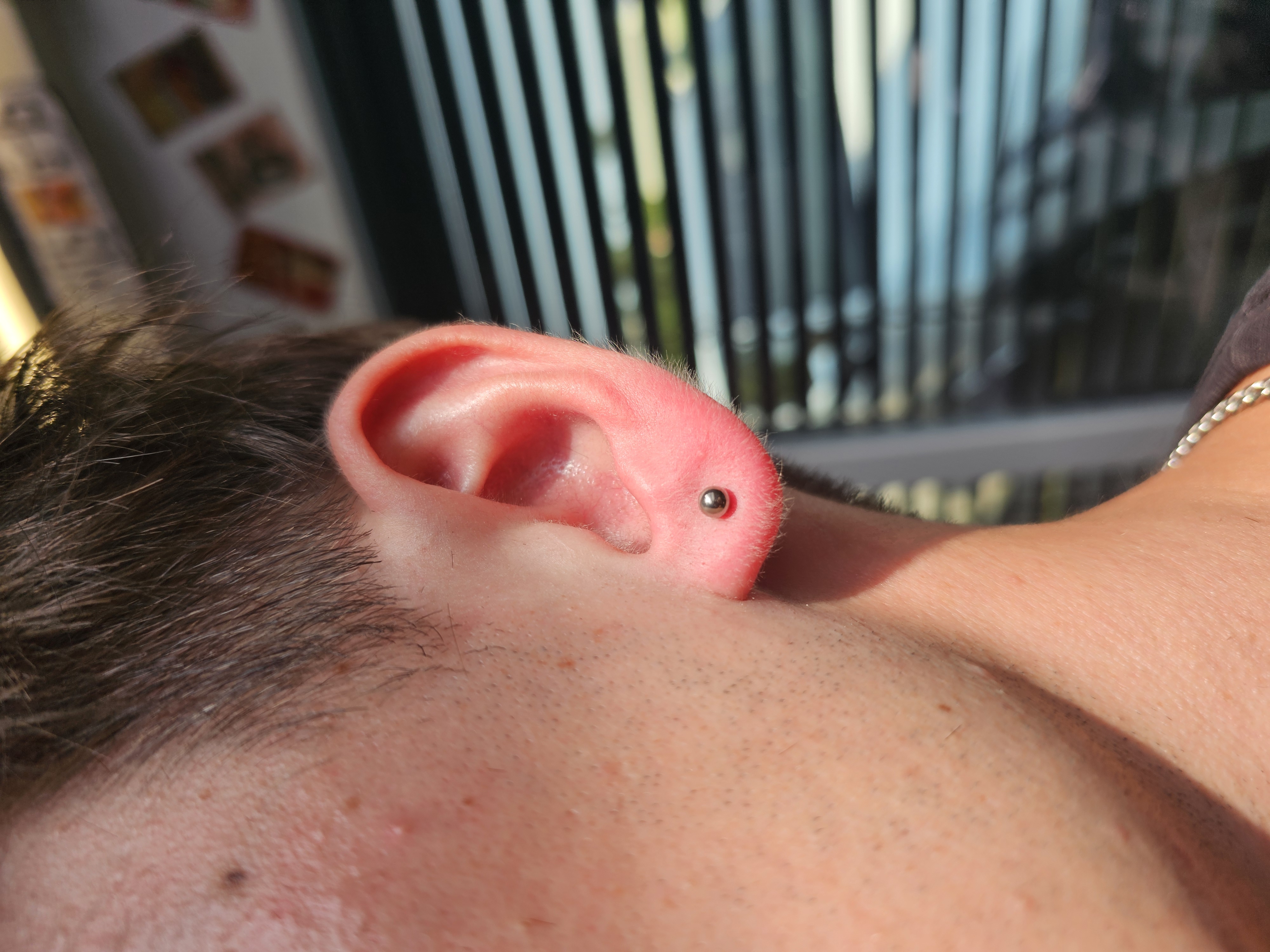 Exemple de piercing artistique Boar Pierced studio La Verrerie