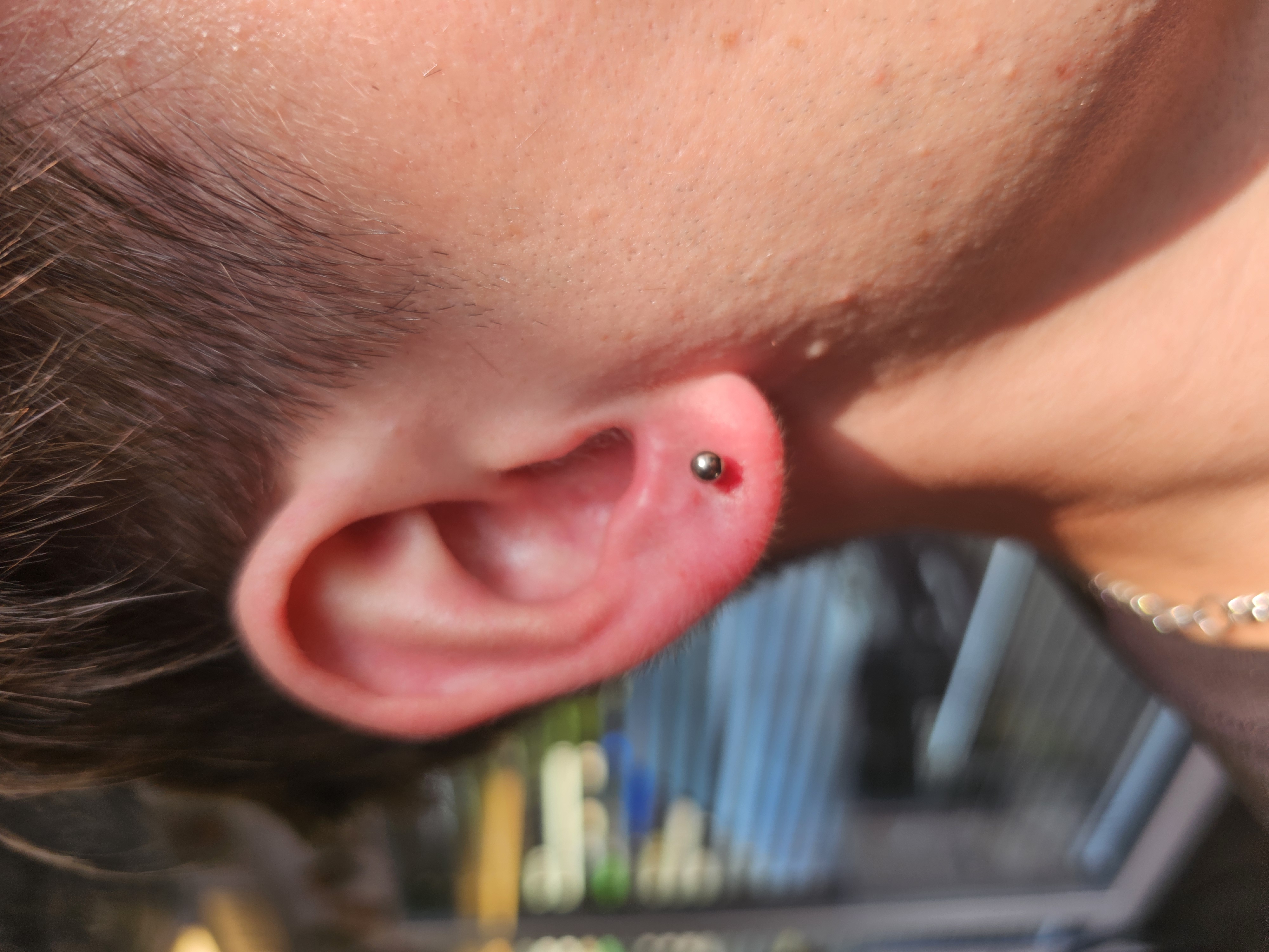 Hall de gloires - Image 3