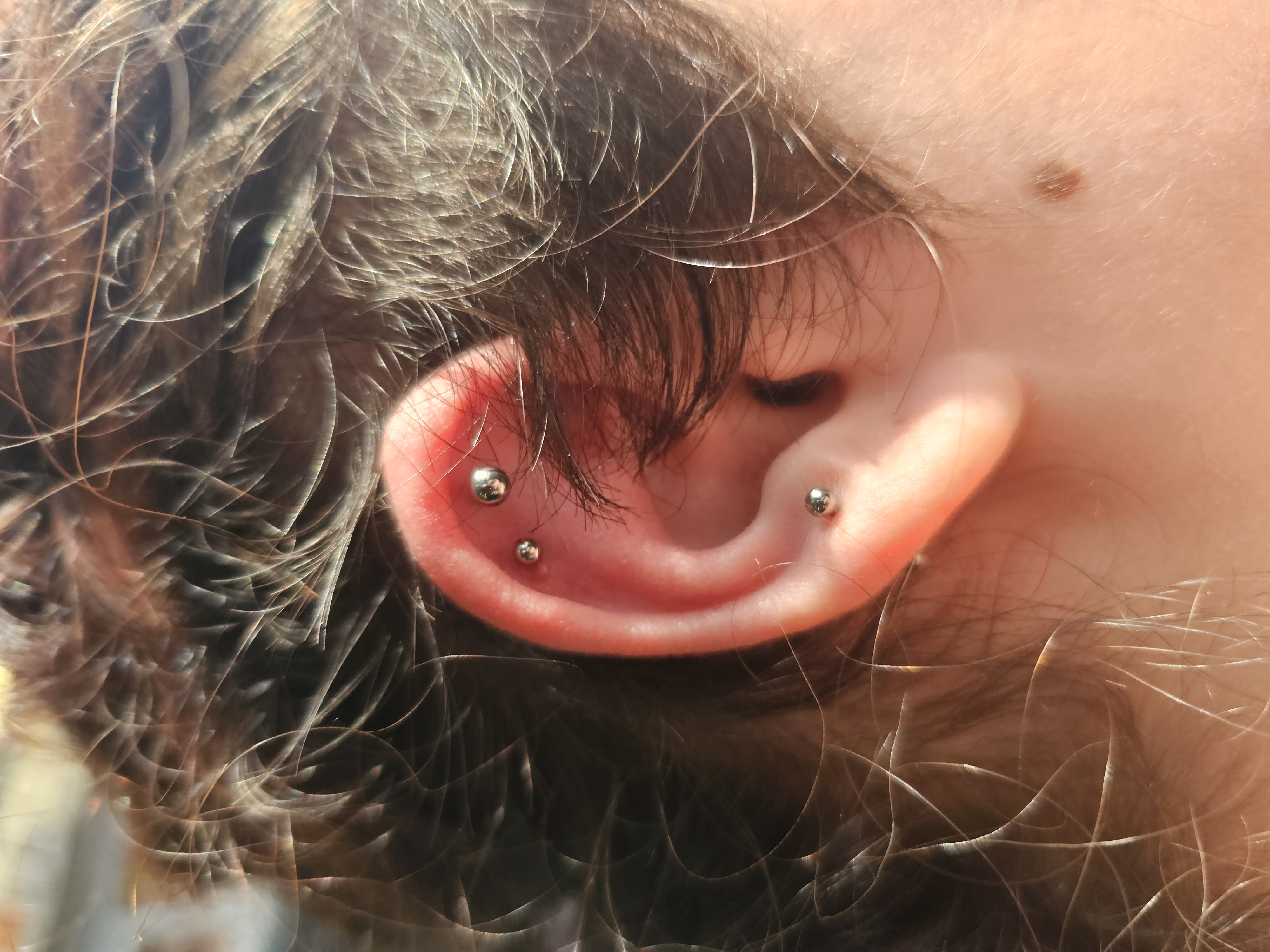 Réalisation piercing titane Boar Pierced La Verrerie Fribourg