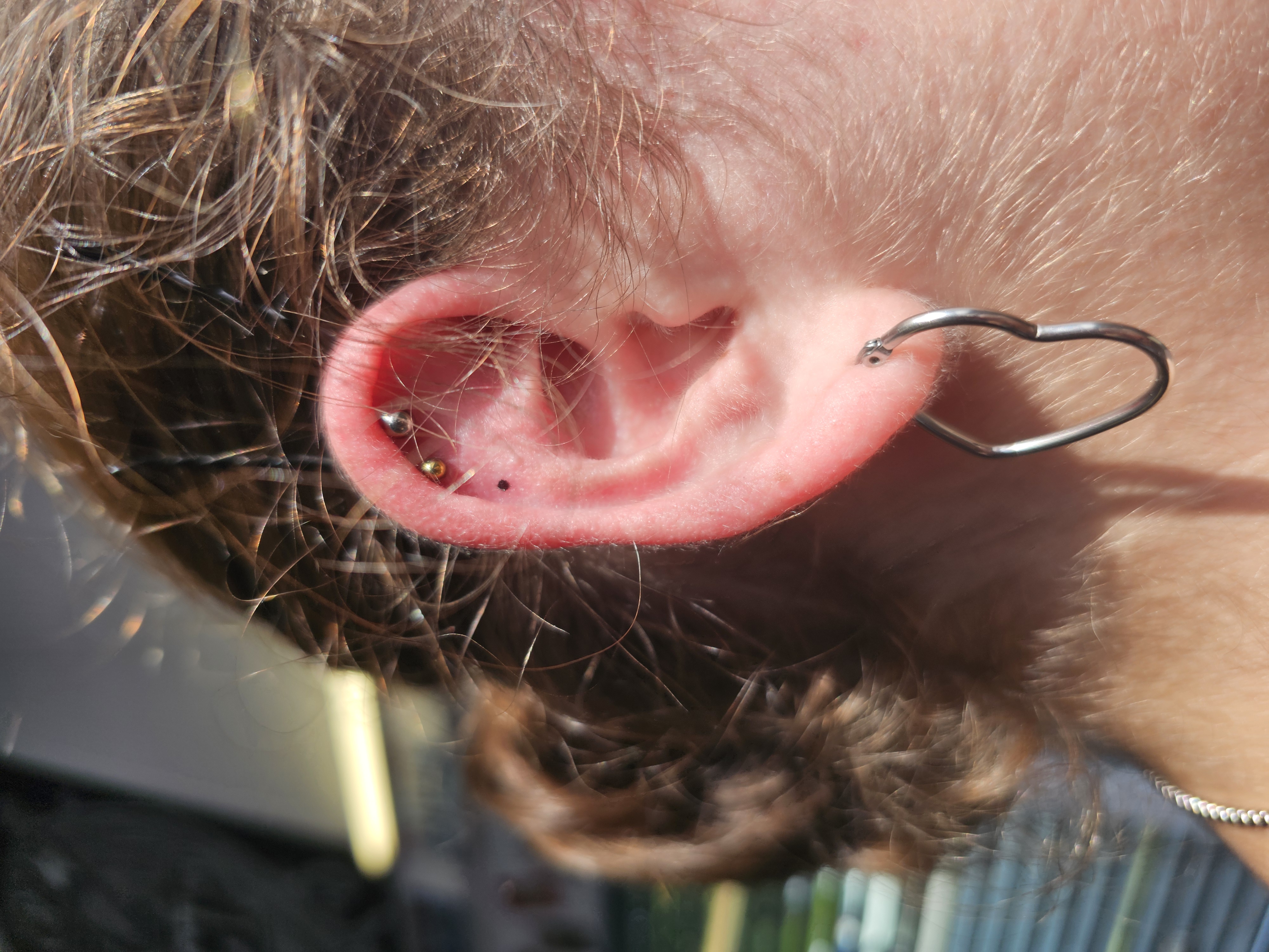 Hall de gloires - Image 5