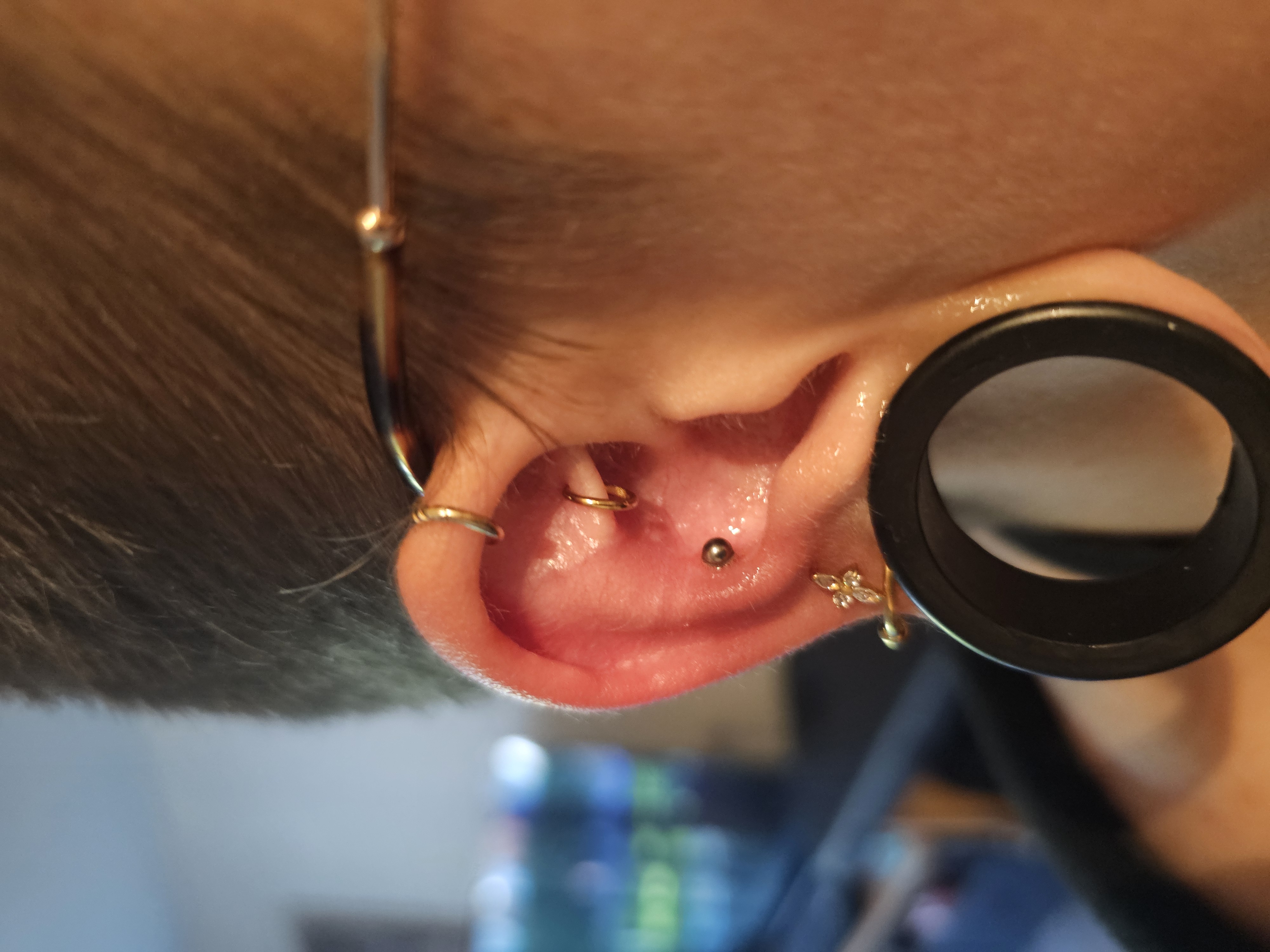 Portfolio piercing Boar Pierced studio professionnel Suisse